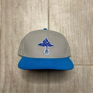 Brand new LRG SnapBack